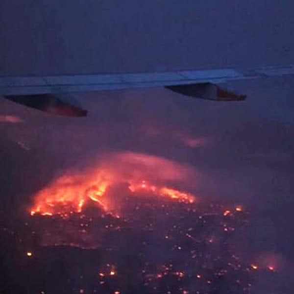 Australian Vintage confirms extent of damage from SA bushfires Australian Vintage confirms extent of damage from SA bushfires